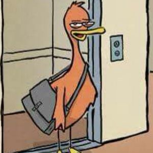 Meet your Posher, Robert